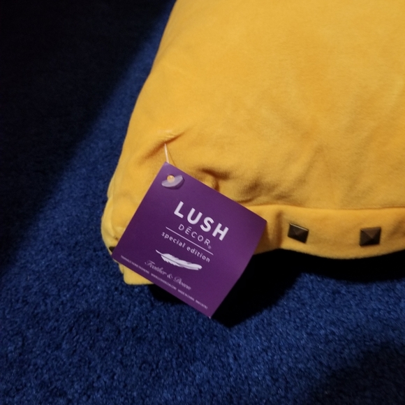 Feather Down Gold Accent throw pillow - Picture 3 of 3